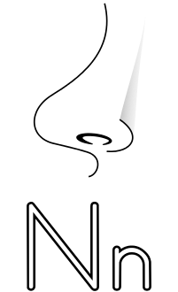 Letra N de Nariz para colorear Icon sets