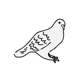dove is sitting Icon sets