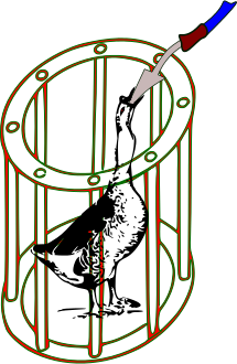 Battery Force-Fed Goose  Icon sets